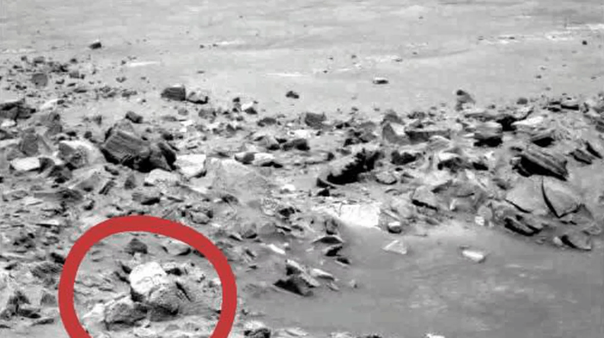 Mysterious Winged Creature Flying over Mars