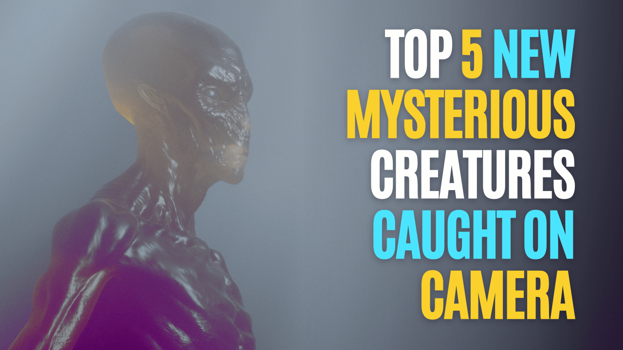 Top 5 New Mysterious Creatures Caught On Camera